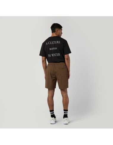 Fusion Hybrid Short